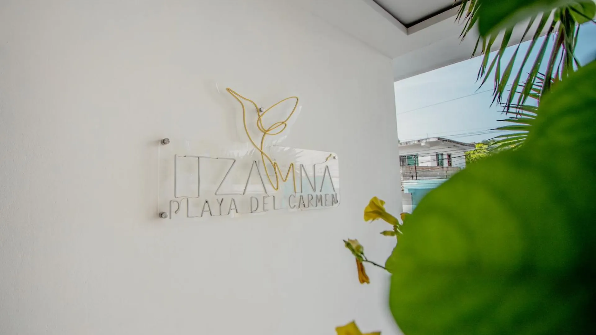 Itzamna Luxury Condos Whit Ocean Viewpool Playa del Carmen Apartment